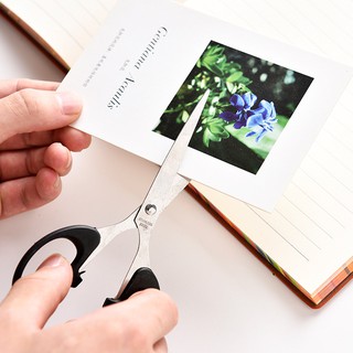 Kéo văn phòng, kéo cắt giấy tiện lợi dành cho văn phòng - D17