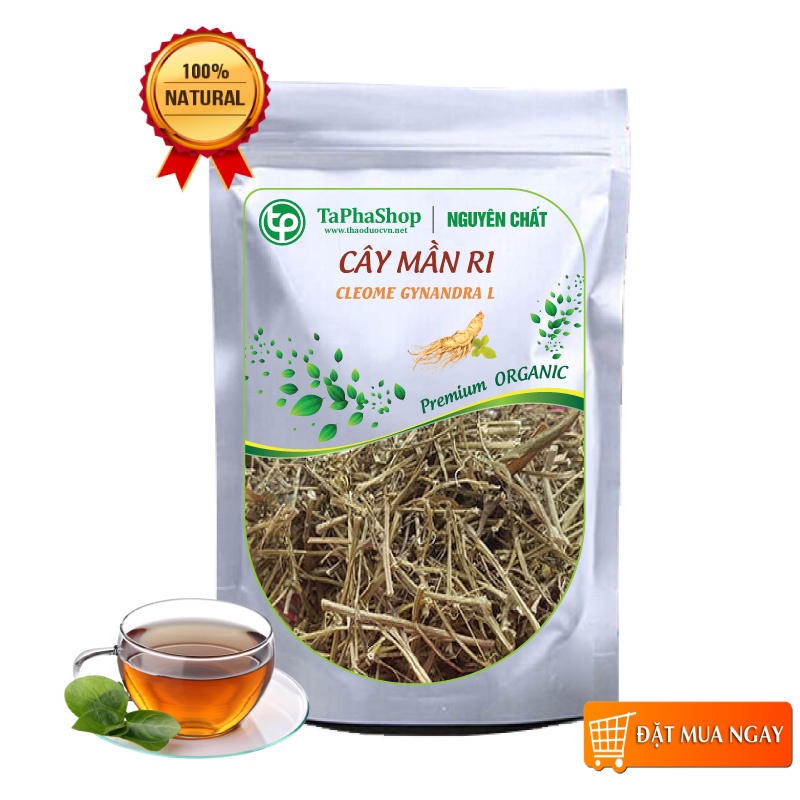 Cây mần ri sấy khô - Thảo dược Tấn Phát