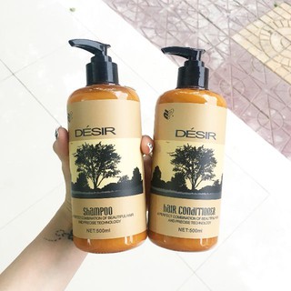 Dầu Gội Xả Desir phục hồi tóc 500ml