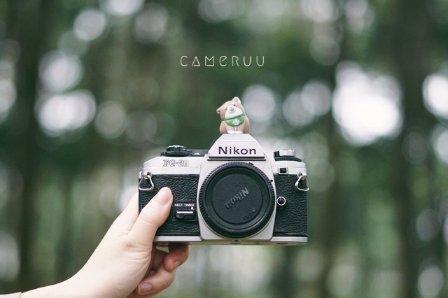 Hotshoe cover cho máy ảnh Cún Shiba