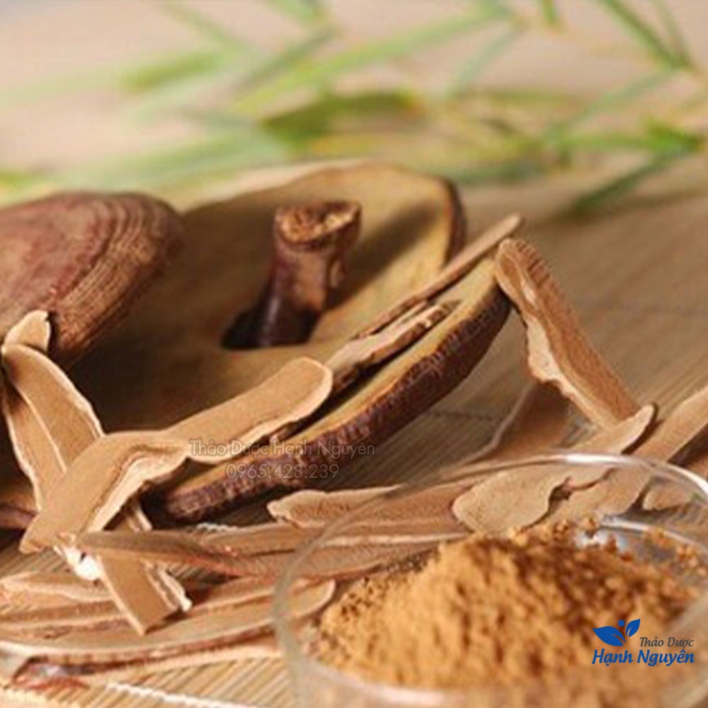 Bột nấm linh chi hàn quốc nguyên chất 100g - Thảo Dược Hạnh Nguyên