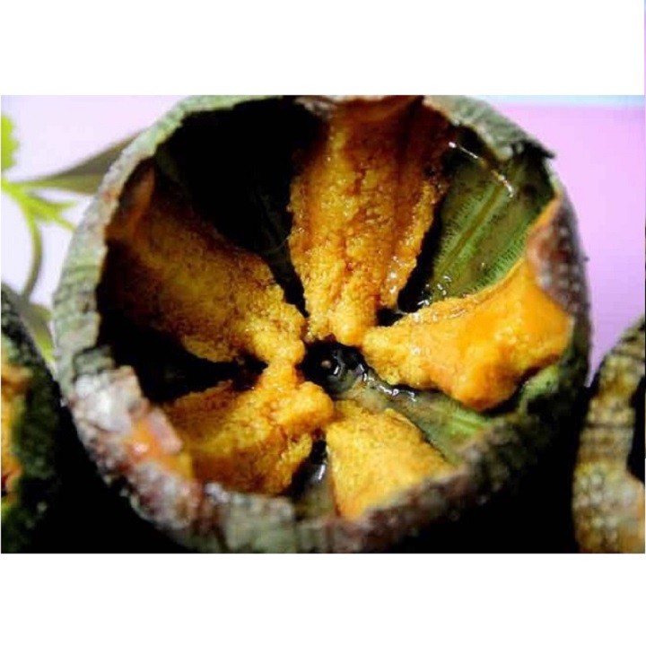 120g pate nhum biển