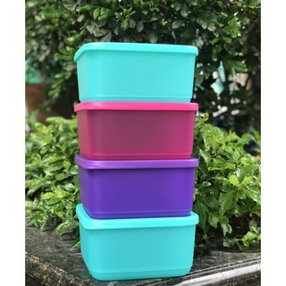 Tupper - bộ 4 hộp bảo quản thực phẩm trữ mát hoặc khô small summer fresh