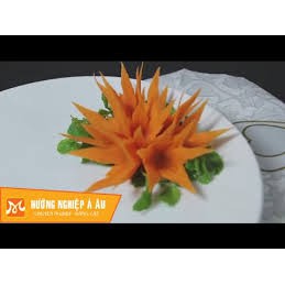 Xoáy hoa cà rốt inox33