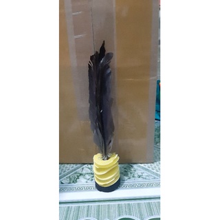 Cầu lông đá