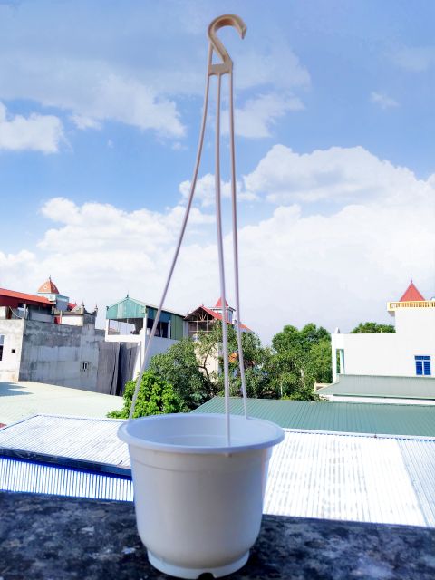 Chậu treo tròn trồng hoa, cây cảnh kèm dây treo hàng loại 1.
