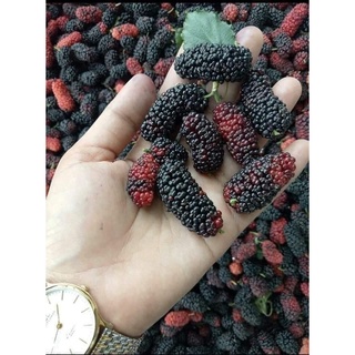 MỨT DÂU TẰM hũ 400gr