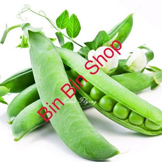 HẠT GIỐNG ĐẬU HÀ LAN
