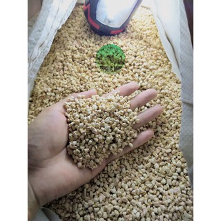 Cùi bắp lót chuồng NHẬP - THƯỜNG