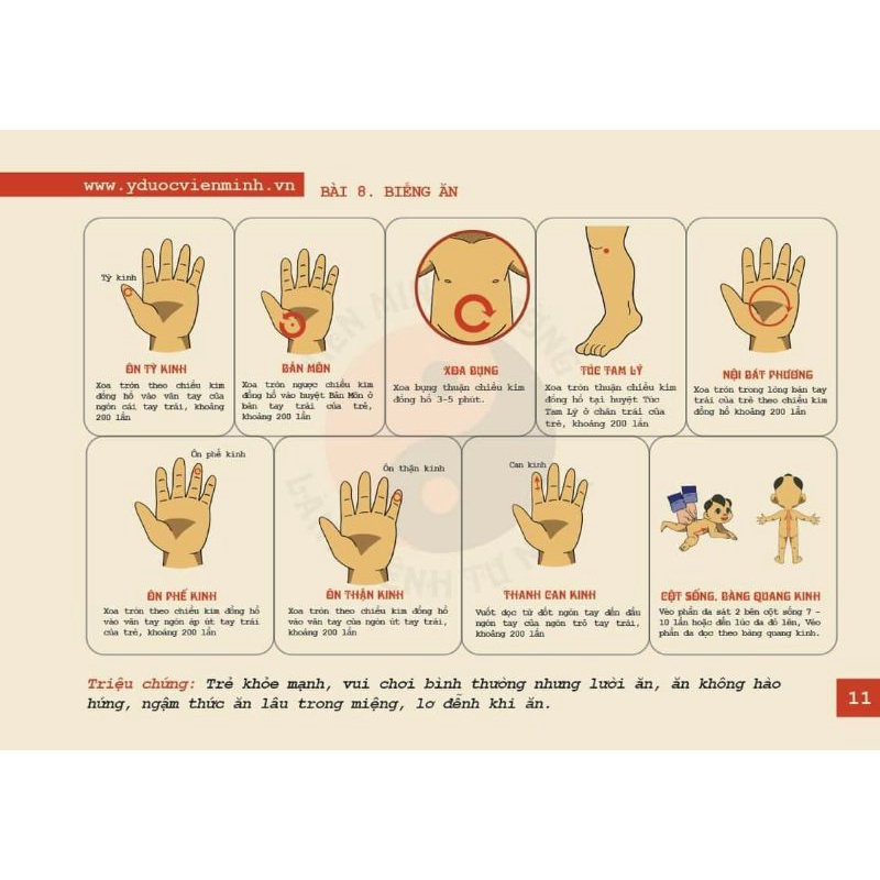 Dầu tràm xoa đặc biệt Viên Minh 15, 30ml (CHÍNH HÃNG)