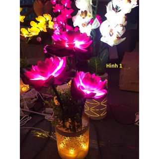 hoa trang trí tết có đèn led sáng