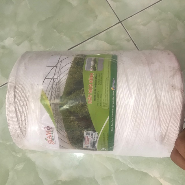 Cuộn dây sợi SE trong nhà kính