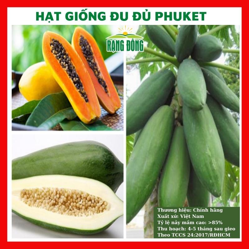 Hạt giống đu đủ ngon ngọt - rau củ quả trồng chậu, sân vườn ban công ngon giòn ngọt nảy mầm cao 20 hạt PHUKET 537