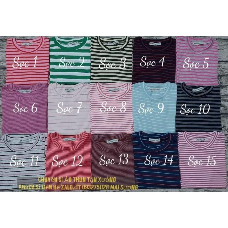 Áo THUN SỌC BODY ( < 53kg ) | BigBuy360 - bigbuy360.vn