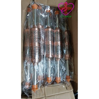 Cây Lăn Ngải Đồng Đôi