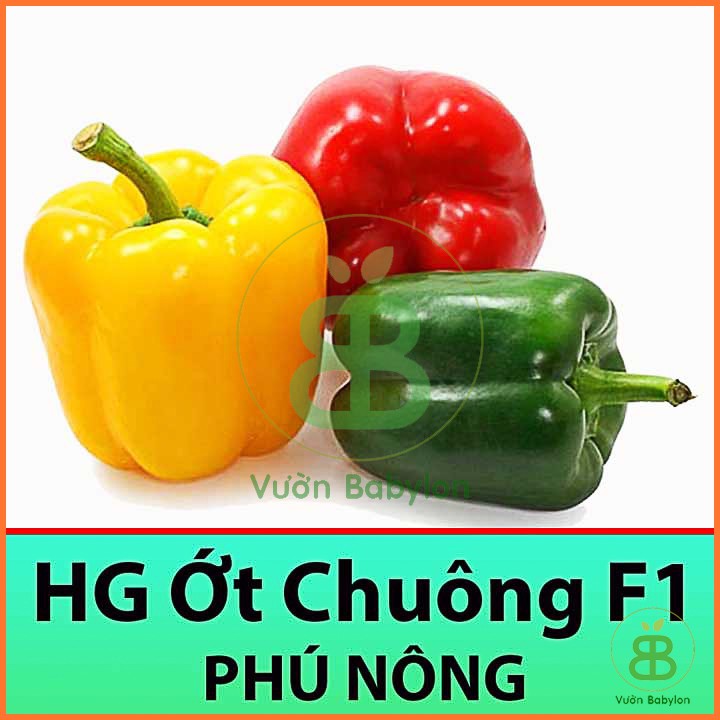 Hạt Giống Ớt Chuông 0,1Gr Giàu Vitamin, Chịu Nhiệt