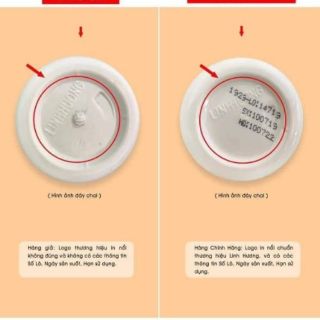 [CHÍNH HÃNG 100%] Dung Dịch Vệ Sinh Phụ Nữ Lady