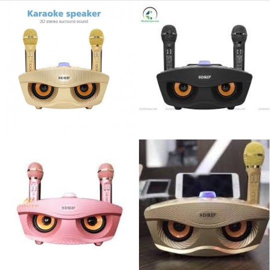 [FREESHIP] LOA KARAOKE BLUETOOTH SD-306, SD-305,SD-304, SD-301 TẶNG KÈM 2 MIC