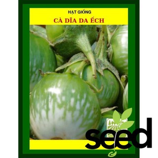 1G - Hạt Giống Cà Dĩa Da Ếch