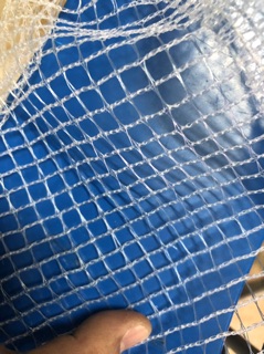 Túi Đựng Cá siêu to khổng lồ