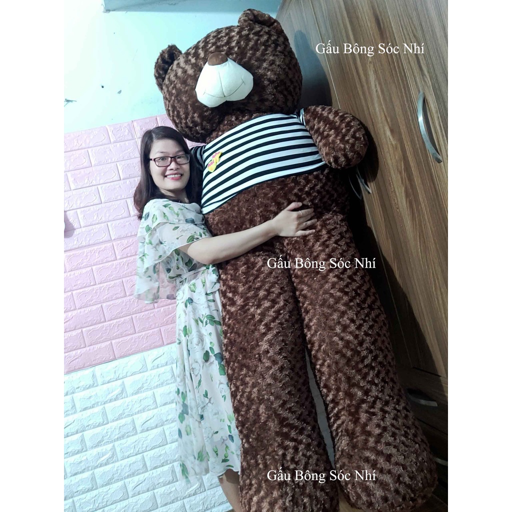 Gấu Bông Teddy Siêu To Khổng Lồ Size 2m 💥 FREESHIP 💥 Gấu Bông Sóc Nhí - Gấu bông teddy khổng lồ