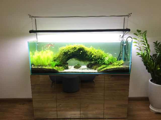 Giá treo đèn inox 304