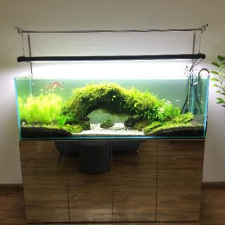 Giá treo đèn inox 304 (hda)