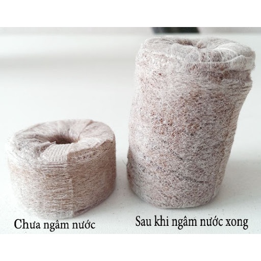 Viên nén xơ dừa chất lượng cao - dùng để ươm hạt thay cho bầu ươm