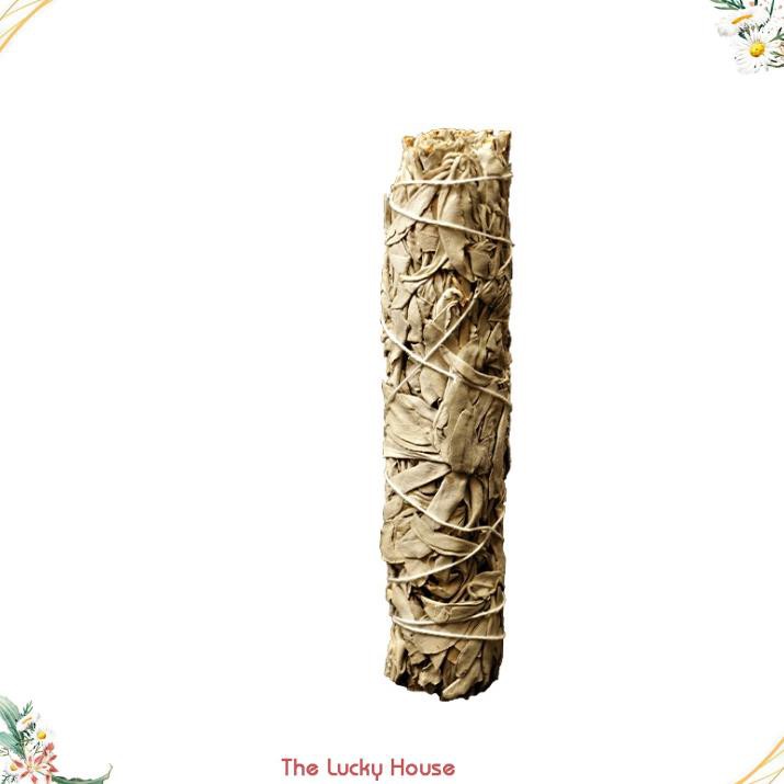 Bó Lá xô thơm (white sage) hay sage trắng xông nhà thư giãn tinh thần và khử trùng không gian sống