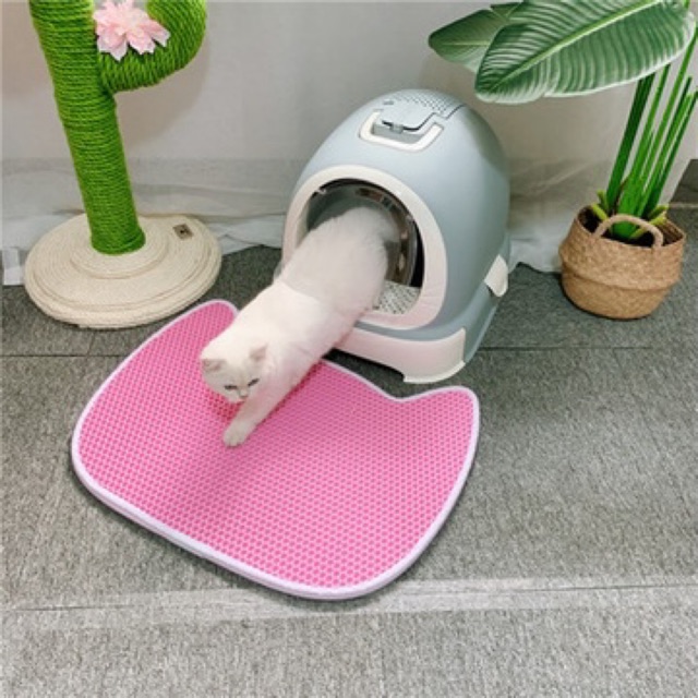 Thảm Lót 2 Lớp Chống Văng Cát Dễ Thương Siêu Rẻ