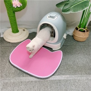 Thảm Lót 2 Lớp Chống Văng Cát Dễ Thương Siêu Rẻ