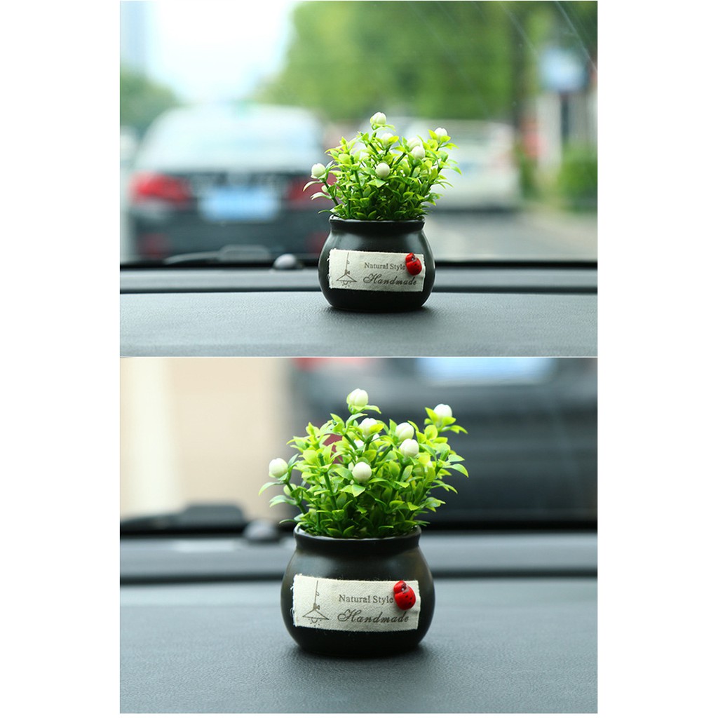 [RẺ VÔ ĐỊCH] CHẬU HOA TRANG TRÍ Ô TÔ, TRANG TRÍ BÀN LÀM VIỆC [BỀN - RẺ - ĐẸP] | BigBuy360 - bigbuy360.vn