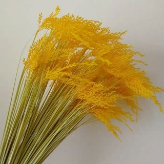 Sỉ 10 cành bông lúa nhựa