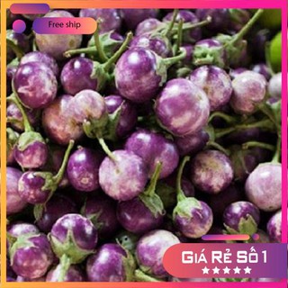 Hạt giống cà pháo tím (2gr) LUCKY.VN
