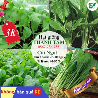 - 400 hạt giống rau Cải ngọt