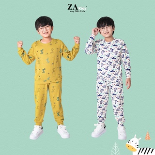Bộ Quần Áo Thun Dài Tay Bé Trai (3-9 Tuổi) Zakids 21334T