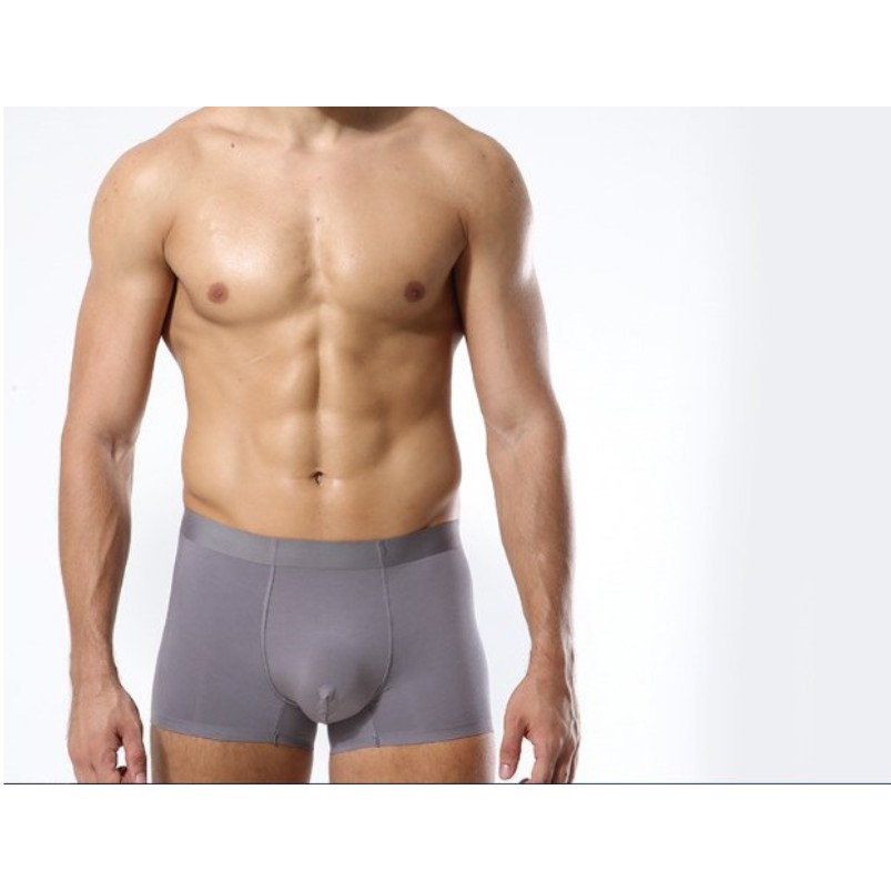 Hộp 4 quần lót boxer nam Sịp đùi thun lạnh cao cấp kháng khuẩn ngăn mùi LOTNAM13