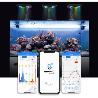 Đèn led maxspect mjl165 - đèn led chuyên dụng cho hồ cá biển