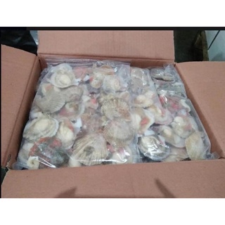 Sò điệp Nhật nửa mảnh size 30/40 bịch 1kg