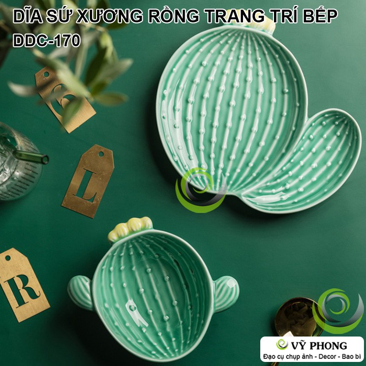 DĨA SỨ HÌNH XƯƠNG RỒNG STYLE BẮC ÂU DECOR TRANG TRÍ BẾP, ĐẠO CỤ CHỤP ẢNH SẢN PHẨM INS DDC-170a,b