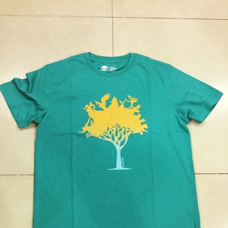 Áo thun xuất xịn cho nam