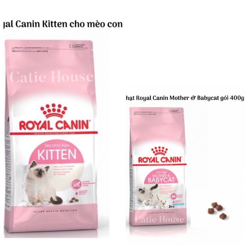 [Giao ngay HỎA TỐC] Thức ăn hạt Royal Canin Kitten 36 1kg - Hạt Royal Canin Mother & Babycat 400g cho mèo