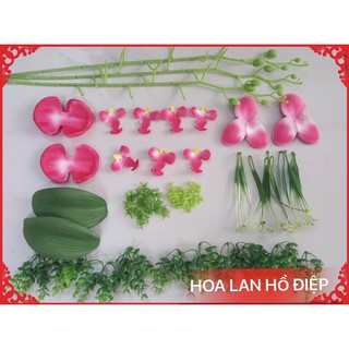 combo nguyên liệu làm hoa của khách