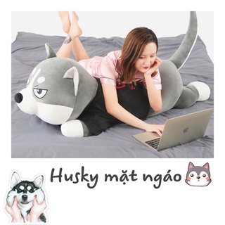Chó Husky ngáo chất miniso mềm mượt êm ái