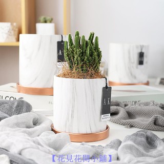 [Cửa Hàng Huazi] Nhà Của Ike|Chậu Hoa Hình Tròn Cỡ Lớn Kết Cấu Cấu Cực Lớn Phong Cách Châu Âu Đơn Giản Kèm Khay Đựng