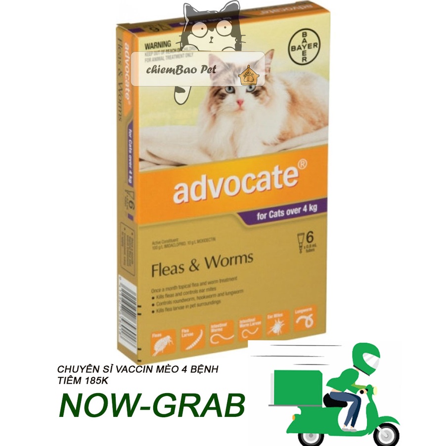 Advocate 1tuýt - Nhỏ Gáy Ngăn Ngừa Nội Ngoại Ký Sinh Trùng Cho Chó Mèo