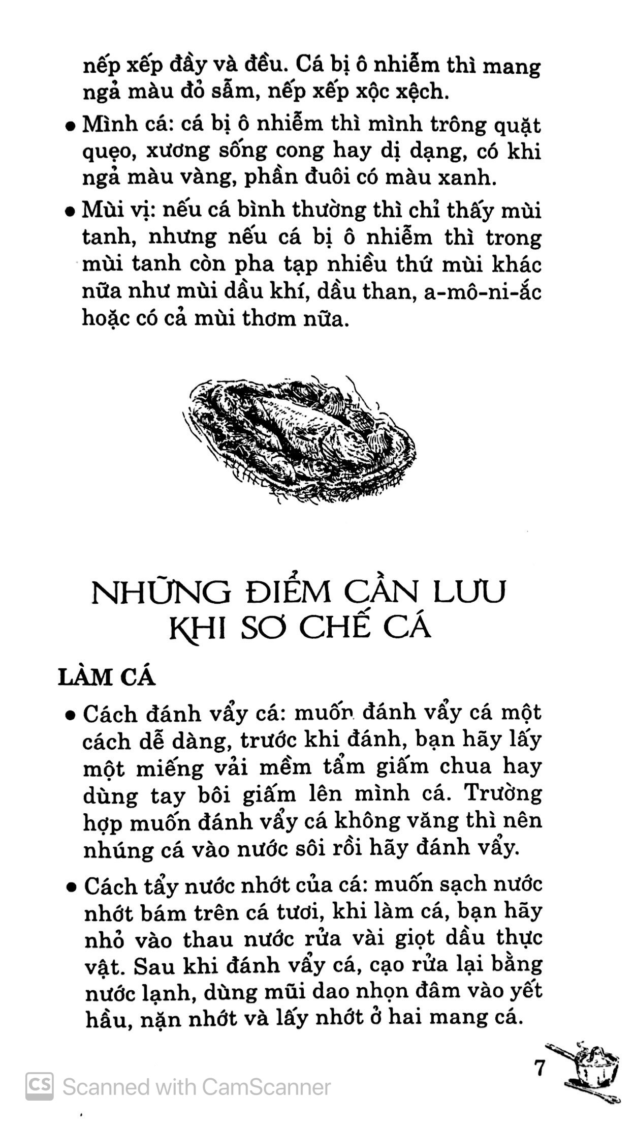 Sách 72 Món Ăn Chế Biến Từ Cá