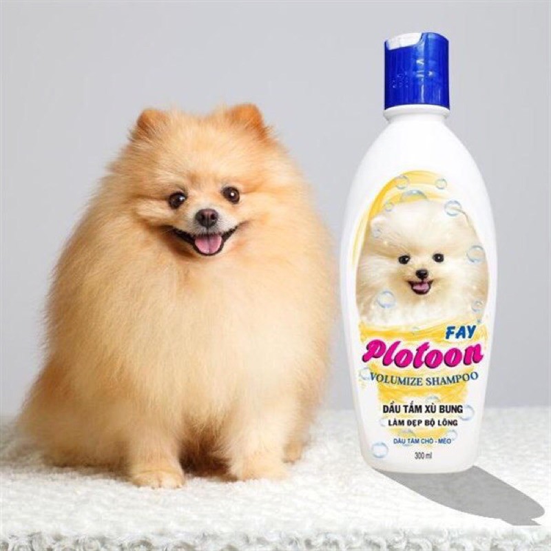 Sữa Tắm Plotoon 300ml cho Poodle , Samoyed, Bichon , Pomeranian...Chó Lông Xù Bung