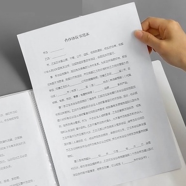 Bìa Nhựa File Lá Clear Book A4 8 Màu Molandi Đủ Loại 20/30/40/60/10 Lá