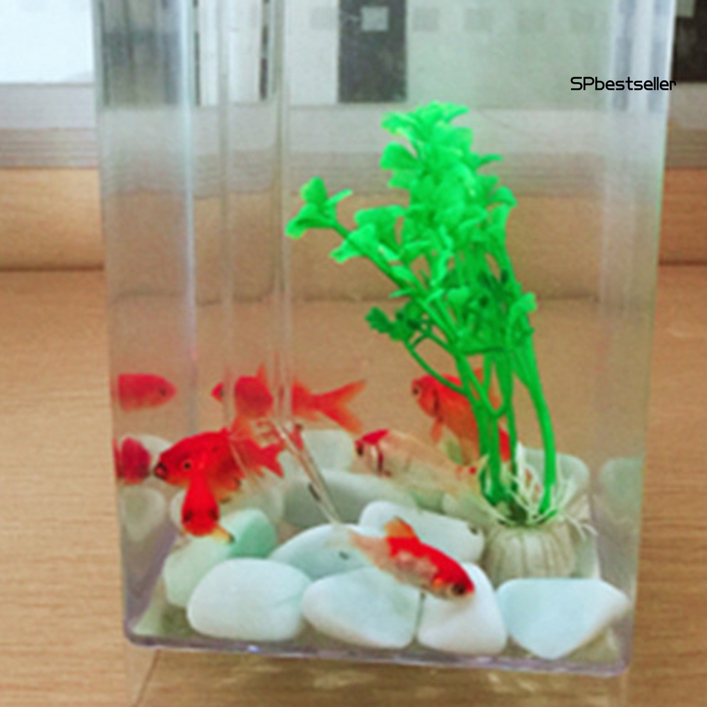 1 Bộ Bể Cá Mini Trong Suốt Tự Động Lọc Nước